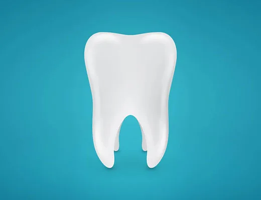 Wisdom Teeth